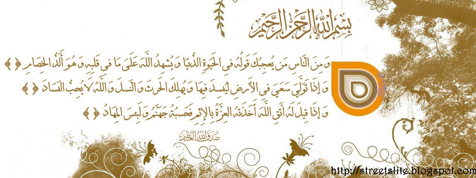 Islamic Covers Street Lites